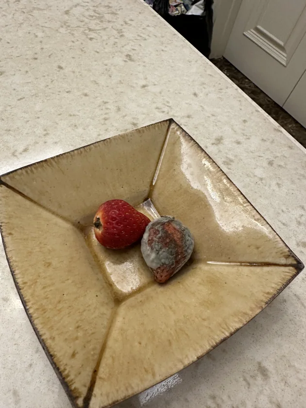 Rotten fruit & flower series — IMG_1805