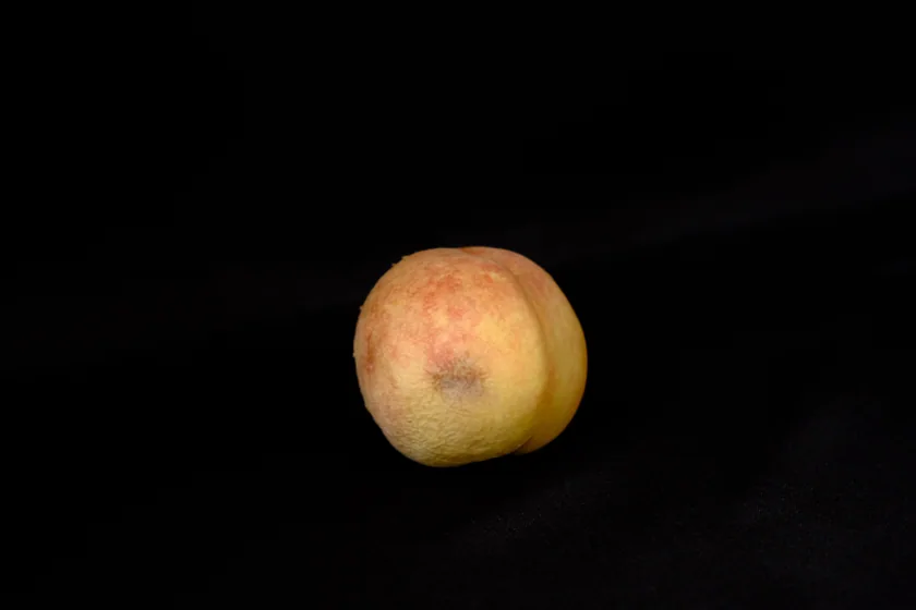 Rotten fruit & flower series — DSCF2423