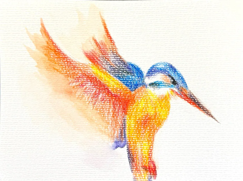 (water)color pencil- kingfisher
