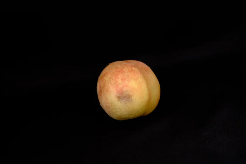 Rotten fruit & flower series — DSCF2399