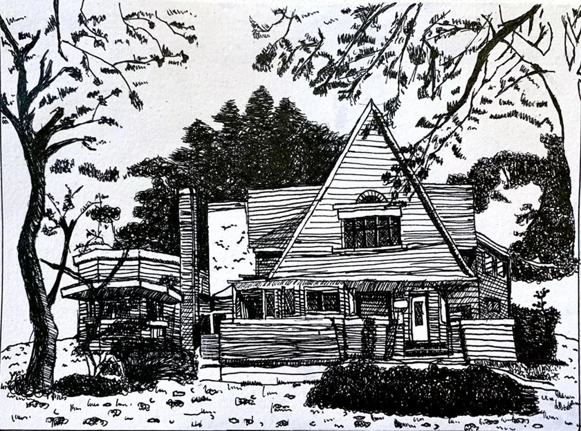 pen and ink sketch- Among the Trees