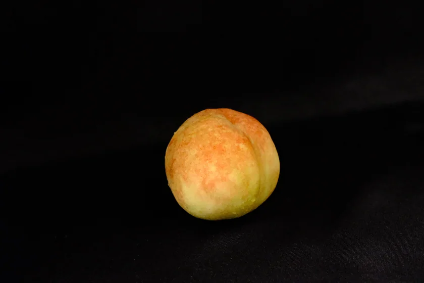 Rotten fruit & flower series — DSCF2059